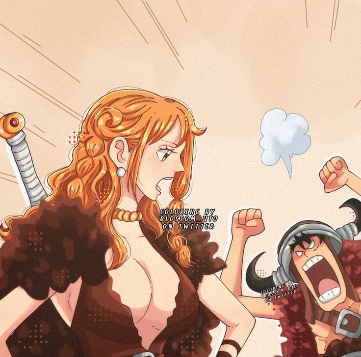 Luffy và Nami 