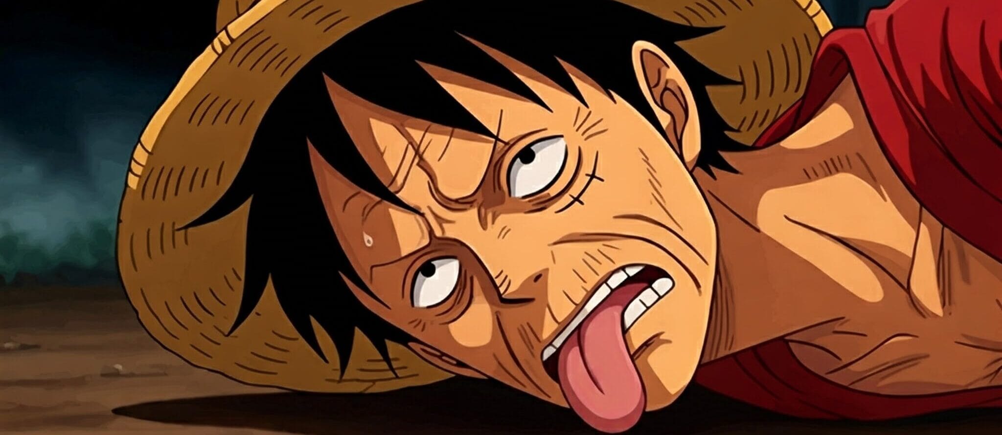 dfsfds e1731403372732