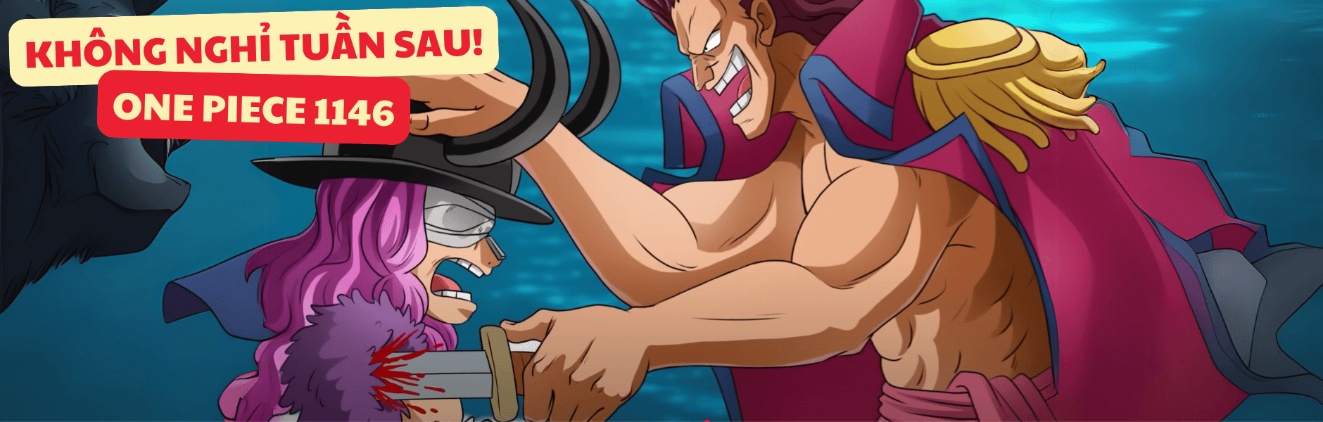 Tin nóng One Piece 1146