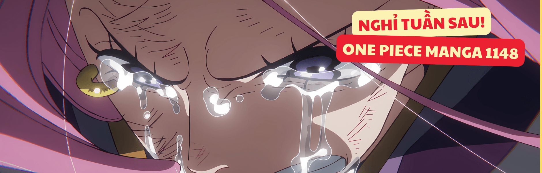 Tin hot One Piece 1148