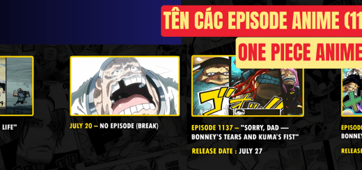 Thông Tin Về One Piece Anime Sắp Tới