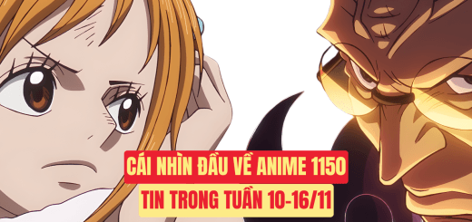Tin One Piece Tổng Hợp